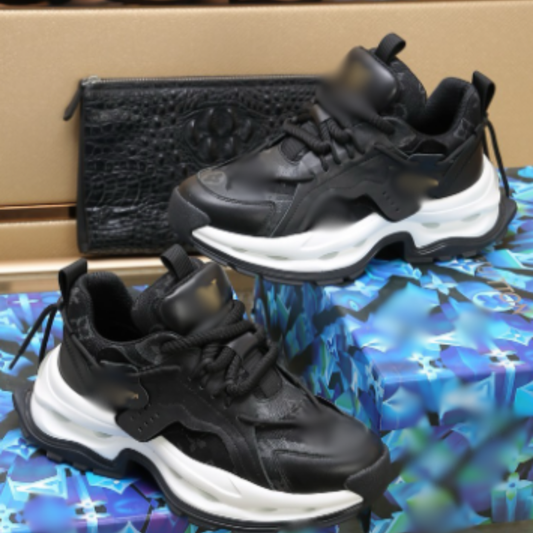 LV-SHOES