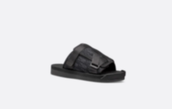 D-SLIDES 100